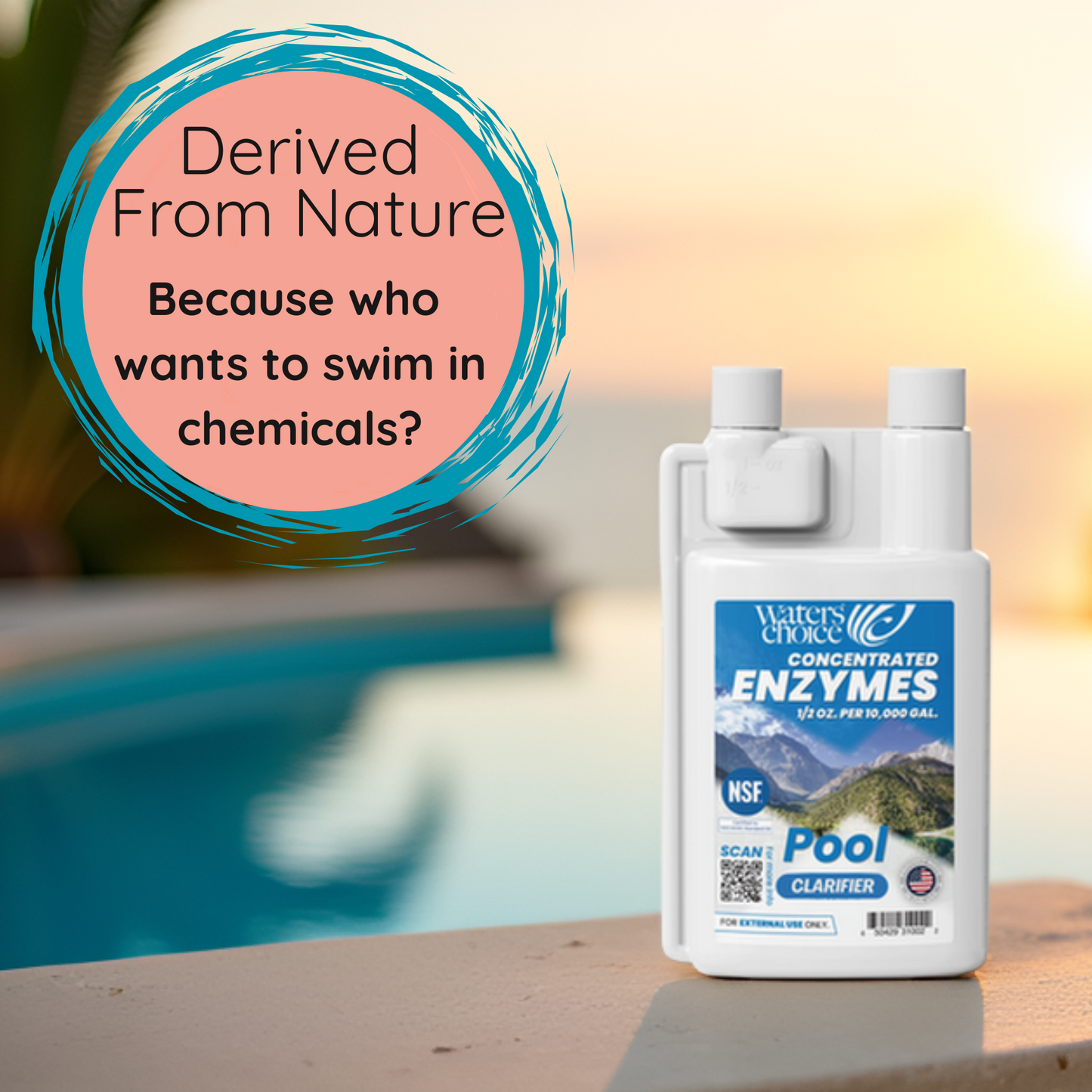 16 oz Pool Enzyme Concentrate