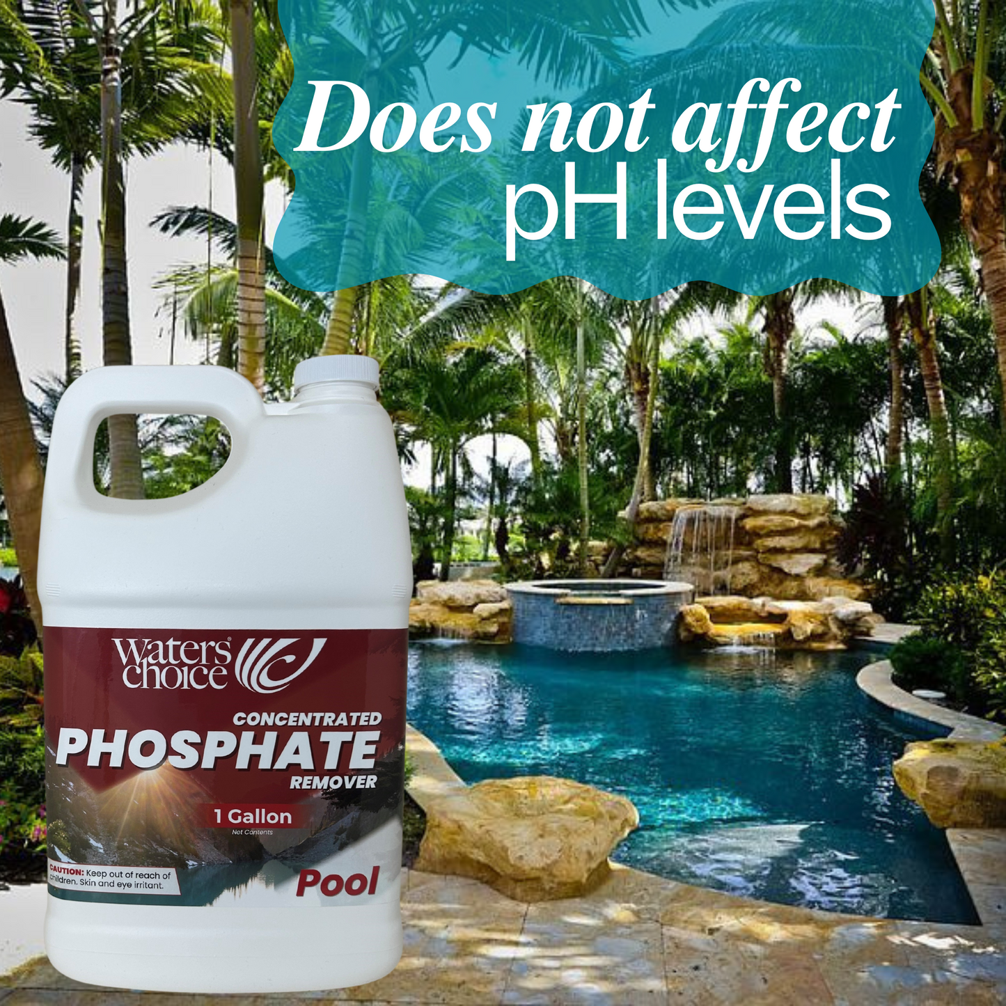 1 Gallon Pool Phosphate Remover