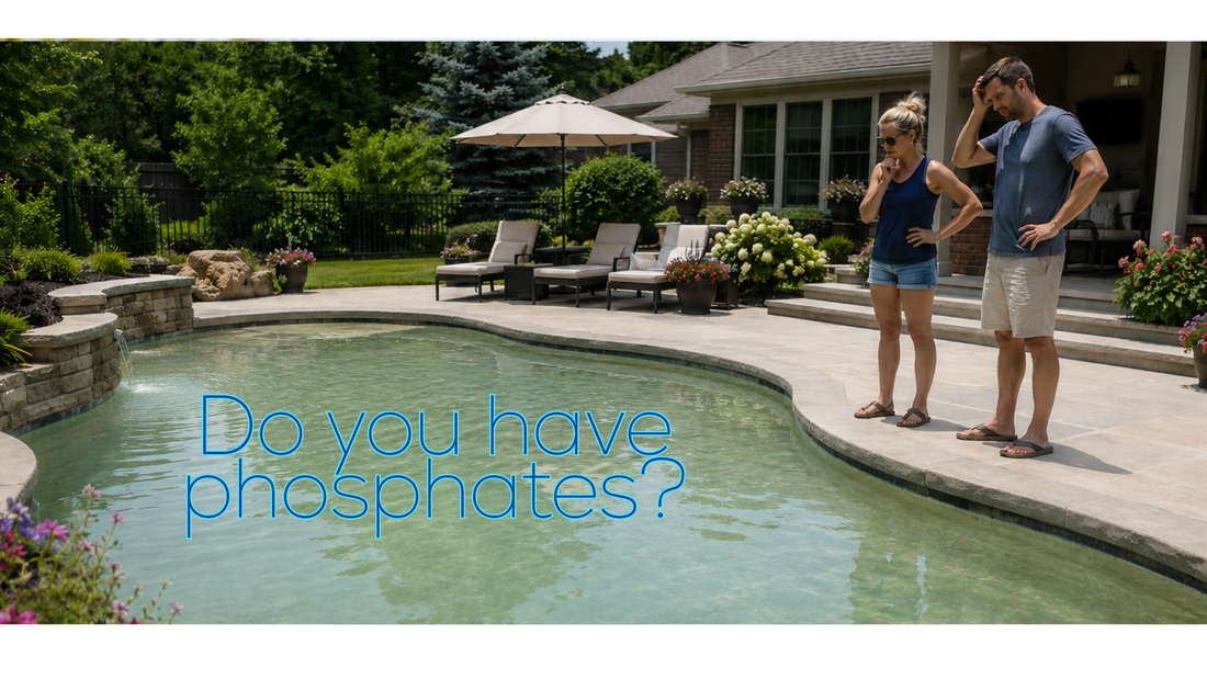 Is Your Pool Feeding Algae?  Here's a Quick Way to Find Out