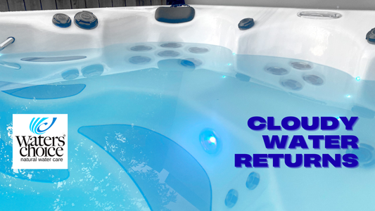 The Final Piece of the Mystery: Phosphates