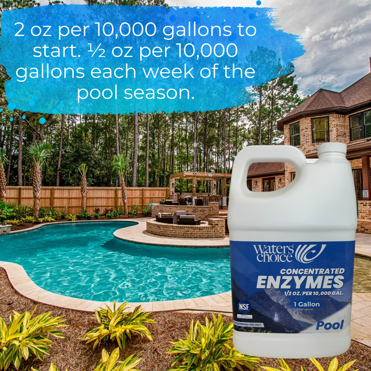 1 Gallon Pool Enzyme Concentrate
