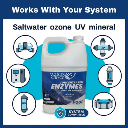 1 Gallon Pool Enzyme Concentrate